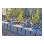 Palisáda CityStone Romana